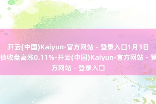 开云(中国)Kaiyun·官方网站 - 登录入口1月3日国投